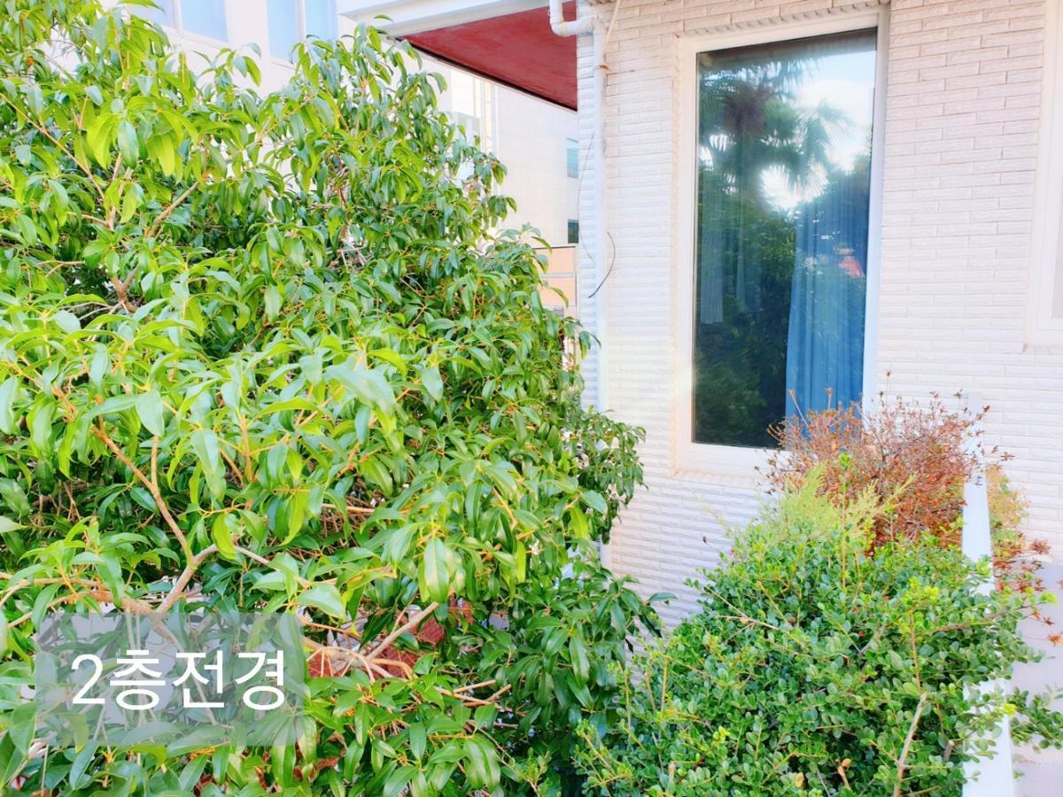 Picasso Guesthouse Mokpo Eksteriør bilde